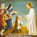 2023년 9월 5일 연중 제22주간 화요일 이미지