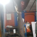 행복한테라스 이미지