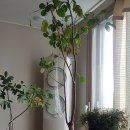 사람사는 집 이미지