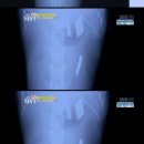 안녕, 멍멍아 이미지