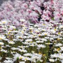 백양산 양묘장 이미지