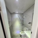 아라가온 이미지