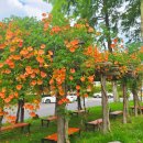 충북도립대학교 이미지