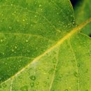 서울효사랑요양병원 이미지