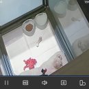 환해지개 이미지