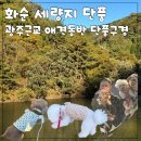 세량지 자판기 | 광주근교 애견동반 단풍 추천! 화순 세량지에서 가을을 느끼세요