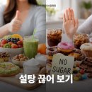 포워드휘트니스 | 감정동헬스장 NO.1 포워드 휘트니스 <설탕 끊어보기> 알아보기 🤍