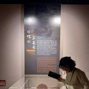 함양박물관 전시실 이미지