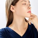 데일리 피쉬 이미지