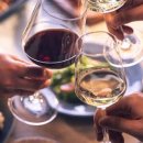 셰프스키친 이미지