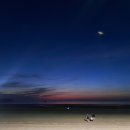 신두리세븐패밀리캠핑장 이미지