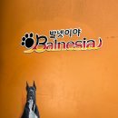 발넷이야 이미지