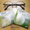 시티아이넷