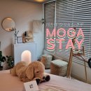 부산 해운대 에어비앤비 모가스테이 MOGA STAY 302 : 감성 숙소 내돈내산 후기