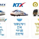 지엘플렉스2 이미지