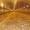 중열농장 이미지