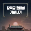 K2 3가 ~ 시기공영 주차장 | 창덕궁 홍매화 개화시기 관람팁 총정리