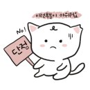 베르테라 이미지
