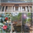 예술단 단비 | 품바싱어 설녹수 품바 열공 작은거인 예술단 단양 공연/[Travel] 모든 게 그저 찬란한 여행...강진에서...