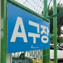 성남 탄천변축구장 A구장 잔디 상태 직접 뛰어본 후기와 주차정보