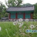 부산생명의숲