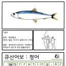 바다어보