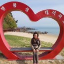 섬마을목장 이미지