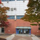 카페베네울진점 | [공지] 수원 프리다이빙 체험 가격, 준비물, 추천 장소 총정리