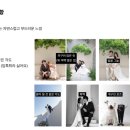 [결혼준비 #8] 웨딩촬영 준비, 시안 기획안 ppt, 아키스튜디오 촬영, 에토프꾸뛰르