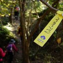 구불7길(신시도길) 이미지