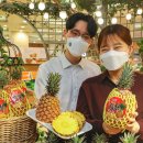 파인애플 이미지