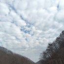 풀내음쉼터 이미지