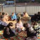 주약초등학교 이미지