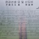 윤강 선생 묘 및 신도비 이미지