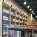숲인숲