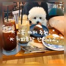 고흥도화힐링하우스 | 전남 고흥 카페 산티아고 후기/커피농장에서 직접 재배한 원두&amp; 애견동반 힐링 카페