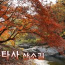 공작산 수타사산소길 &amp; 치악산 구룡사계곡길... 이미지