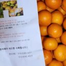 제주이모네농장