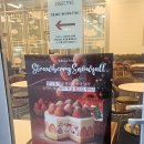 파인에비뉴 | 🍓 콜렉티보 을지로파인에비뉴점 솔직리뷰😄