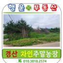 경산행운공인중개사사무소 이미지