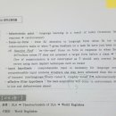루이스 36쪽 comprehensible input 이미지