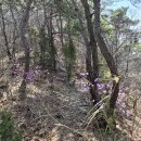 진전면 둔덕마을 마을회관 | 선운산 구황봉 - 아홉 개 바위에 깃든 신선이야기를 찾아서