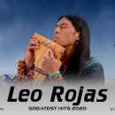 Leo Rojas Greatest Hits collection(레오 로자스 힛트 모음) 이미지