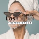 래쉬걸