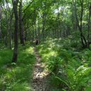 곡성-259 이미지