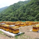 서암농장 이미지