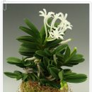 관암농장 이미지