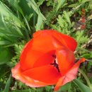 동산자연어린이집 이미지