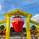 윤돼지식당 | 호이안 윤식당 다녀온 솔직 후기 ✍️