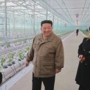 정권농장 이미지